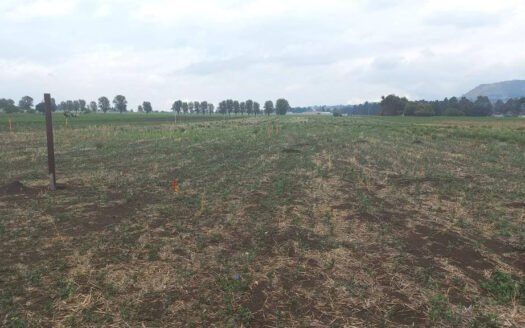 TERRENO VENTA AMECAMECA DE JUAREZ