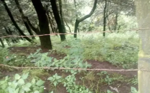 TERRENO VENTA MANUEL AVILA CAMACHO IXTAPALUCA