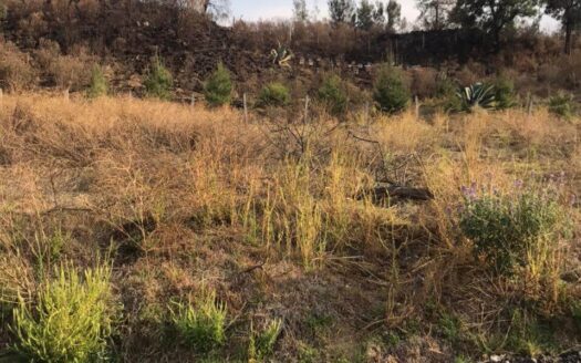 TERRENO VENTA SAN MATEO TEZOQUIPAN