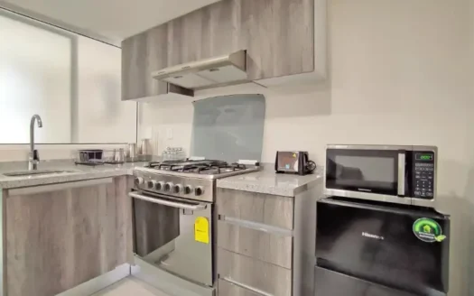 DESARROLLO VENTA JUAN DE DIOS PESA NEZAHUALCOYOTL