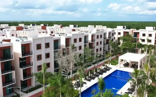 DESARROLLO VENTA OMBU