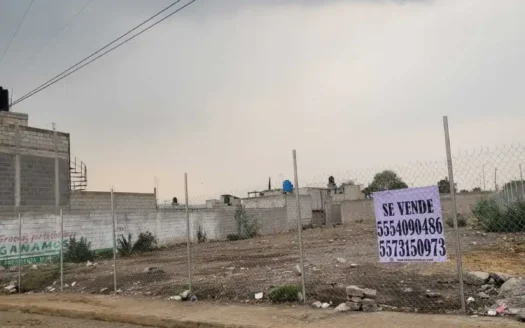 TERRENO VENTA ANDADOR SAN FRANCISCO DE ASIS SAN FRANCISCO ACUAUTLA 2