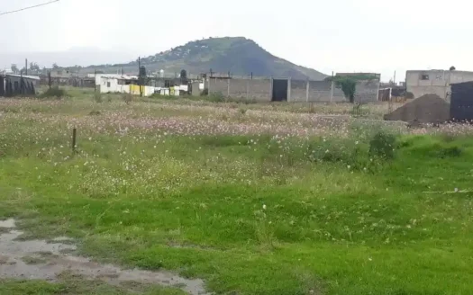 TERRENO VENTA LA CANDELARIA TLAPALA CHALCO