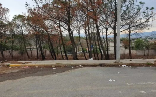 TERRENO VENTA SAN FRANCISCO ACUAUTLA 800