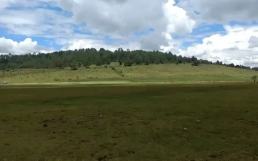 TERRENO VENTA VILLA VICTORIA VALLE DE BRAVO