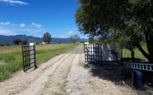 DESARROLLO TERRENOS PILCAYA GUERRERO