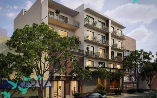 DESARROLLO VENTA ROSASA