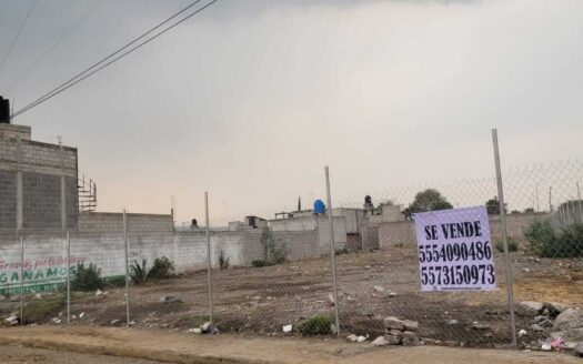 TERRENO VENTA ANDADOR SAN FRANCISCO DE ASIS SAN FRANCISCO ACUAUTLA 2